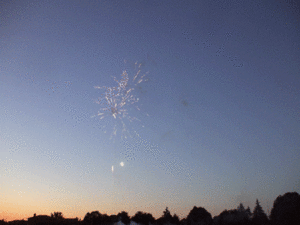 Vuurwerk GIF. Vuurwerk Baby Gifs 