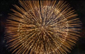 Vuurwerk GIF. Vuurwerk Gifs Schelp 