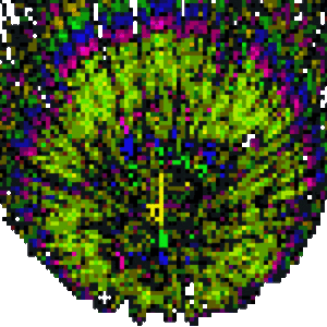 Vuurwerk GIF. Vuurwerk Beroemdheden Gifs Vrij Wetenschap Awsome 
