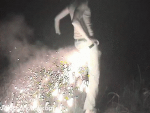 Vuurwerk GIF. Vuurwerk Gifs 