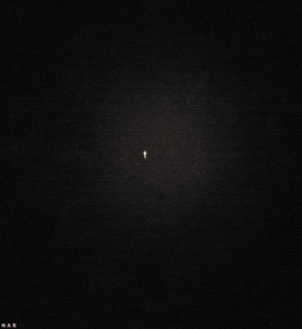 Vuurwerk GIF. Vuurwerk Kleur Bloem Gifs Verticaal 