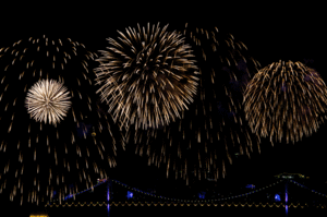 Vuurwerk GIF. Vuurwerk Gifs 