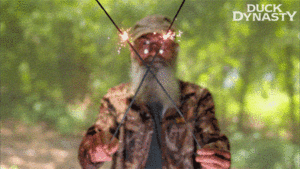 Vuurwerk GIF. Vuurwerk Brand Gifs Gelukkig Geluk Happy end 