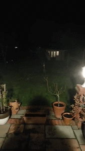 Vuurwerk GIF. Vuurwerk Brand Gifs Gelukkig Geluk Happy end 