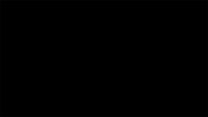 Vuurwerk GIF. Vuurwerk Gifs Mislukken Nutshot 