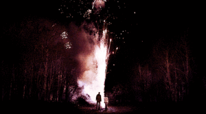 Vuurwerk GIF. Vuurwerk Gifs Schelp 
