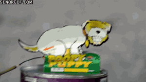 Vuurwerk GIF. Vuurwerk Kleur Bloem Gifs Verticaal 