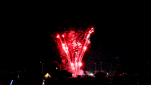 Vuurwerk GIF. Vuurwerk Leuk Roze Gifs Koel 