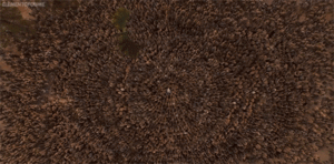 Game Of Thrones GIF. Games Game of thrones Tv Gifs Varys Lord baelish 