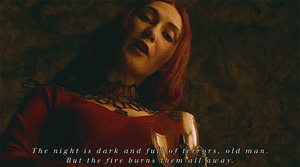 Game Of Thrones GIF. Games Game of thrones Tv Gifs Maisie williams Sean bean 