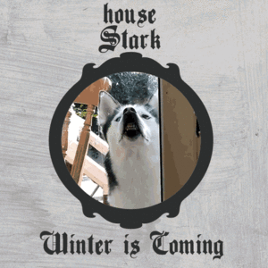 Game Of Thrones GIF. Bioscoop Games Game of thrones Gifs 4 Arya stark Maise williams Hield haar in deze ep En iedere 