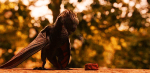 Game Of Thrones GIF. Bioscoop Televisie Games Game of thrones Gifs 4 Sansa stark Sophie turner 