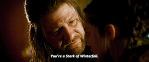 Game Of Thrones GIF. Games Game of thrones Tv Gifs Maisie williams Sean bean 