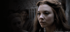Game Of Thrones GIF. Games Game of thrones Gifs Geen Joffrey De leeuw en de roos 