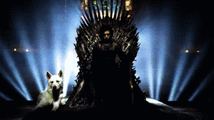 Game Of Thrones GIF. Bioscoop Games Game of thrones Gifs Ernstig Kind Bos 
