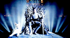 Game Of Thrones GIF. Games Game of thrones Tv Gifs Parken en recreatie Rashida jones Retta 