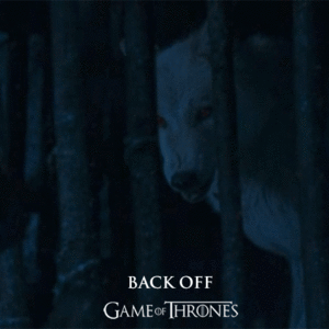 Game Of Thrones GIF. Televisie Games Game of thrones Tv Gifs Ander Kit harington Rose leslie 