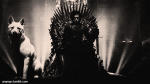 Game Of Thrones GIF. Televisie Games Game of thrones Tv Gifs 4 Natalie dormer Lena headey Cersei lannister Margaery 