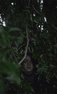 Game Of Thrones GIF. Games Game of thrones Tv Gifs 
