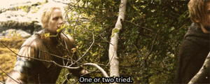 Game Of Thrones GIF. Games Game of thrones Gifs Hbo Omgaan Got Roastjoffrey 