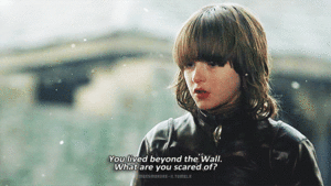 Game Of Thrones GIF. Games Game of thrones Gifs Ge&euml;rgerd Um Brienne van tarth Brienne Je zei 