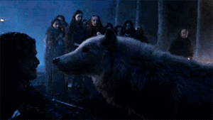 Game Of Thrones GIF. Games Game of thrones Gifs Ander En pizza 