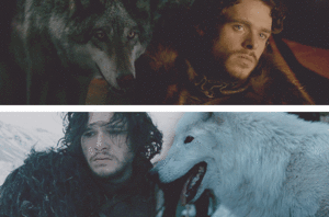 Game Of Thrones GIF. Bioscoop Games Game of thrones Gifs Ernstig Kind Bos 