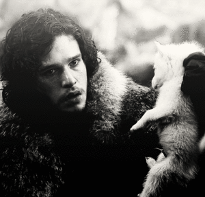 Game Of Thrones GIF. Games Game of thrones Tv Gifs Hbo Shirtless Robb stark Zweterig 
