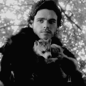 Game Of Thrones GIF. Games Game of thrones Tv Gifs Liam cunningham 