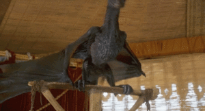 Game Of Thrones GIF. Games Game of thrones Tv Gifs Hbo Arya stark Asoiaf Een lied van ijs en vuur 