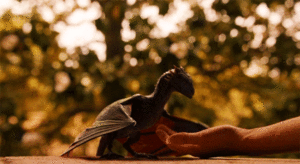 Game Of Thrones GIF. Games Game of thrones Gifs Hbo Omgaan Got Roastjoffrey 