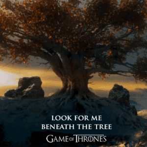 Game Of Thrones GIF. Games Game of thrones Tv Gifs Onhandig 