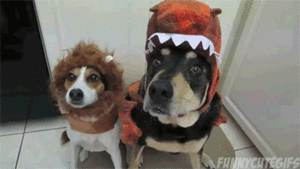 Honden GIF. Dieren Halloween Gifs Hond Dier Kostuums 