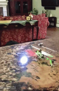 Honden GIF. Dieren Helikopter Gifs Hond Speelbal Vs 
