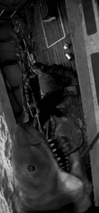 Jaws GIF. Films en series Gifs Jaws Haai 