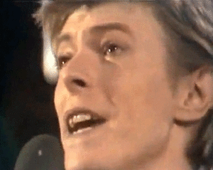 Jaws GIF. Bioscoop Films en series Gifs Jaws Haai Afgrijzen 