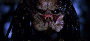 Jaws GIF. Bioscoop Films en series Gifs Jaws Vreemdeling Aanval Roofdier 