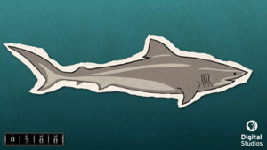 Jaws GIF. Haaien Films en series Gifs Jaws Wetenschap 
