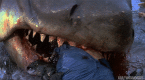 Jaws GIF. Films en series Gifs Jaws Haai Explosie 