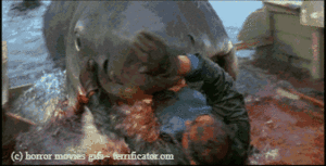 Jaws GIF. Film Films en series Gifs Jaws Haai 