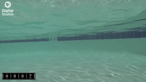 Jaws GIF. Haaien Films en series Gifs Jaws Wetenschap 