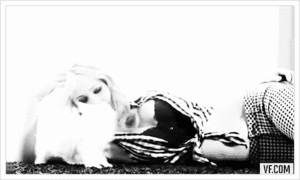 Jennifer Lawrence GIF. Omg Gifs Filmsterren Jennifer lawrence Opgewonden 