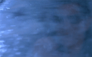 Jurassic Park GIF. Films en series Jurassic park Gifs Jeff goldblum 