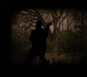 Kanye West GIF. Artiesten Gifs Kanye west Ophalen Schouderophalend Kanye schouderophalen 