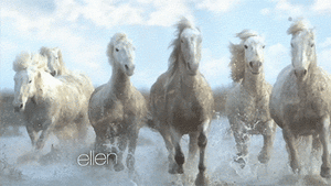 Kanye West GIF. Artiesten Gifs Kanye west Mr gif Dhr. gif Margielawithhm 
