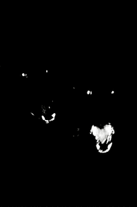 Kanye West GIF. Artiesten Omhelzing Gifs Kanye west Muziekvideo Kim kardashian Gebonden 2 Kimye 