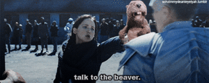 Jennifer Lawrence GIF. The hunger games Bever Gifs Filmsterren Jennifer lawrence Katniss Jlaw Catching fire De bever 