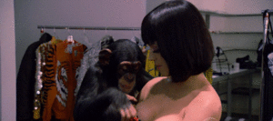 Katy Perry GIF. Artiesten Katy perry Gifs Tieten Aap 