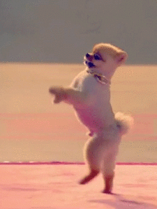 Katy Perry GIF. Artiesten Katy perry Katy Gifs Roar Katy perry gebrul 