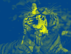 Katy Perry GIF. Grappig Beroemdheden Artiesten Katy perry Gifs Reacties Durr 